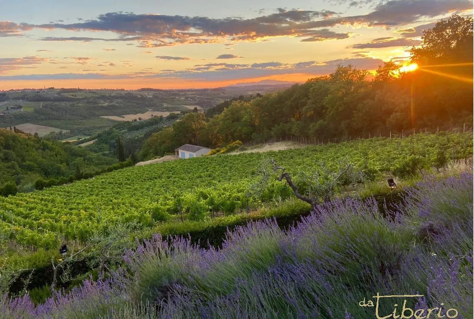 Villa I Barronci Resort & Spa San Casciano in Val di Pesa